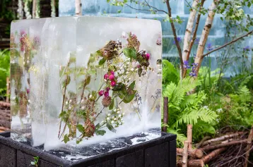 RHS2023英国花卉展将于5月盛大启动，园艺界的奥斯卡！门票如何申请？门票多少钱