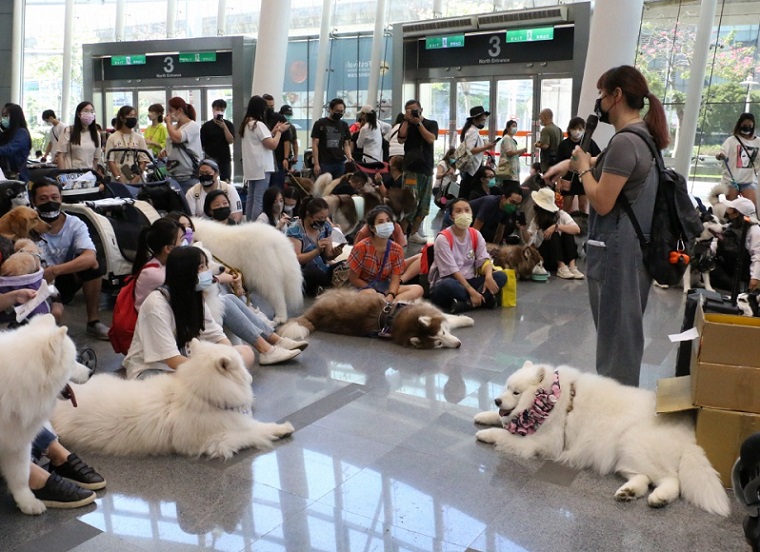 全台最大 人潮爆棚!引领品牌 人气指标!唯一宠物展就在展昭!