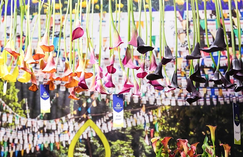 展会百科：中国国际花卉园艺展览会、北京花卉园艺展Hortiflorexpo IPM Beijing
