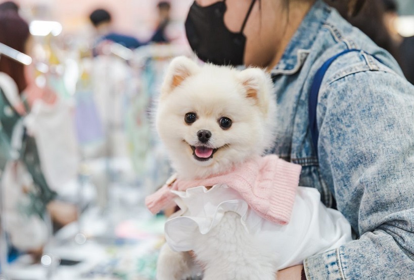 韩国国际宠物展、韩国首尔宠物用品展将于2024年5月17-19日举办,开拓韩国宠物市场最佳平台!门票价格、购票入口