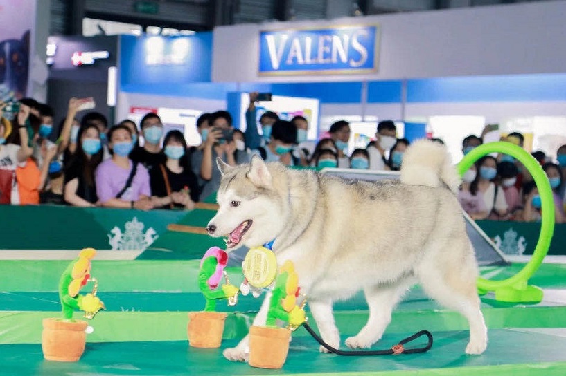 全球高端宠物大聚会：第27届亚宠展、上海宠物展将于2025年8月盛大启动！23万平米大展！门票申请