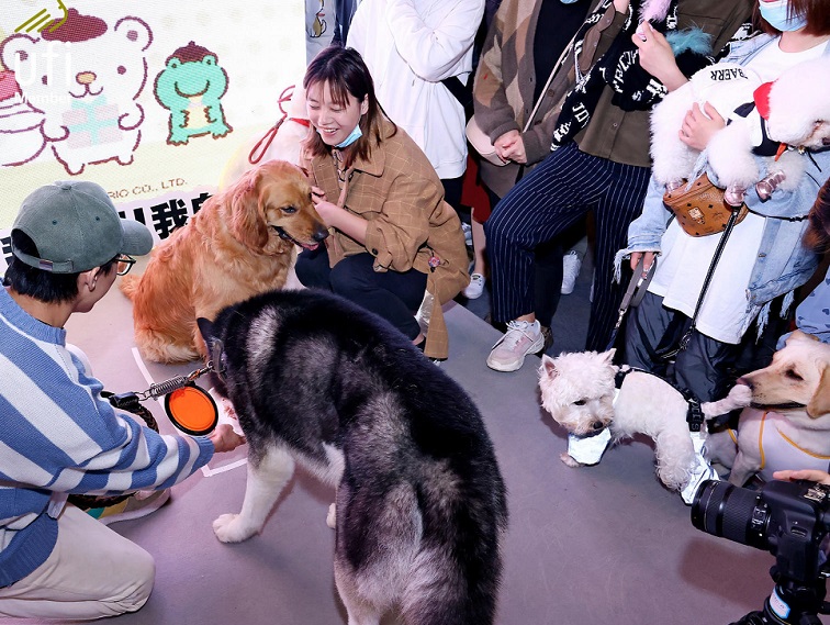 第12届天一成都宠物博览会将于2024年4月启幕！中西部优质宠物平台！主办展位预定/报价、会刊申请、门票登记