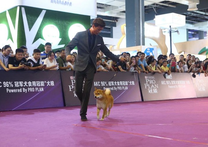 第二届浙江宠物展于2022年4月22-24日在杭州G20国博中心举办