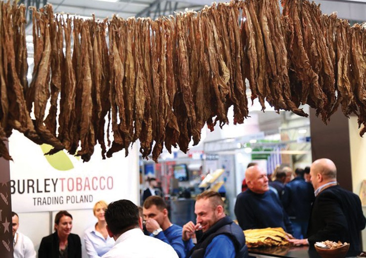 国外烟草展有哪些?德国烟草展、迪拜烟草展、美国烟草展、保加利亚烟草展排期表