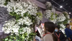 亚洲婚礼道具盛展：第18届全国婚庆道具展将于2023年7月在南京举办！展位、门票如何申请