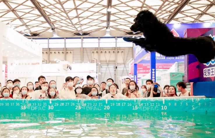 中国四大宠物展、国内四大宠物展