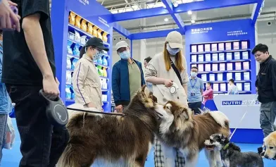 华丽来袭！第七届西安国际宠物用品展将于2023年6月举办，携手共赢宠物西北市场！门票操作指南