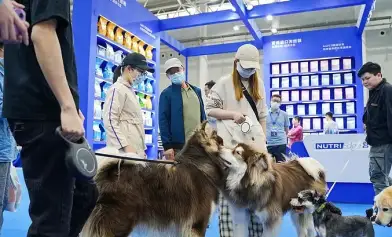 华丽来袭！第七届西安国际宠物用品展将于2023年6月举办，携手共赢宠物西北市场！门票操作指南