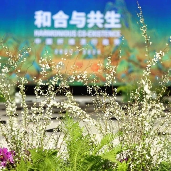大美国风点亮纤维之光！桐昆·中国纤维流行趋势2023/2024隆重发布