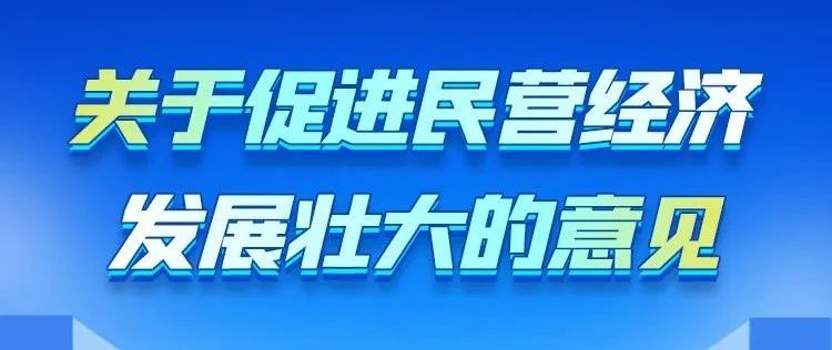 政策解读 | 《中共中央 国务院关于促进民营经济发展壮大的意见》权威答问来了！