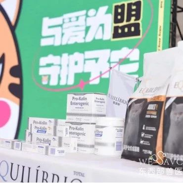 与爱为盟 守护予它 | 2023年份的温暖持续签收中 √