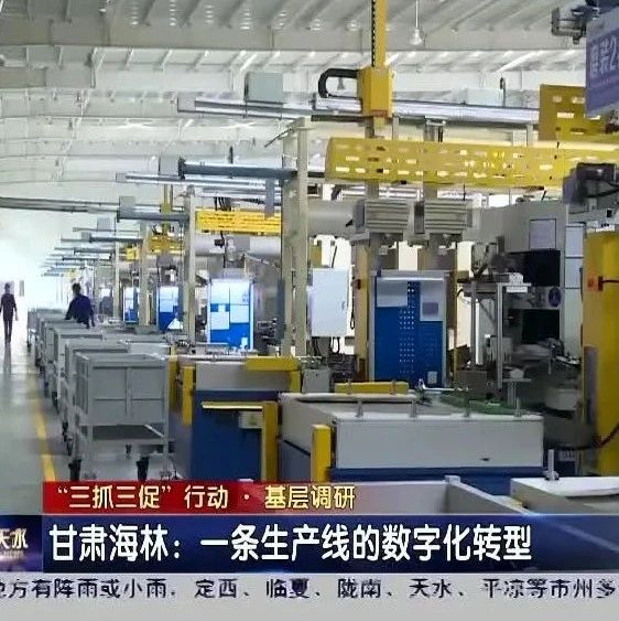 甘肃海林：一条生产线的数字化转型