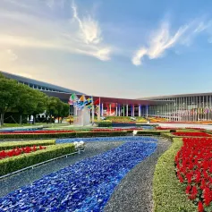 深耕跨境金融，助力对外开放——中国银行上海市分行以综合金融服务方案支持第六届中国国际进口博览会召开