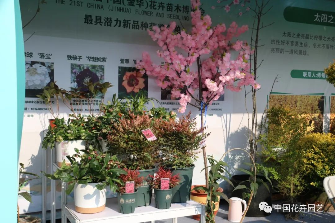 大会展区