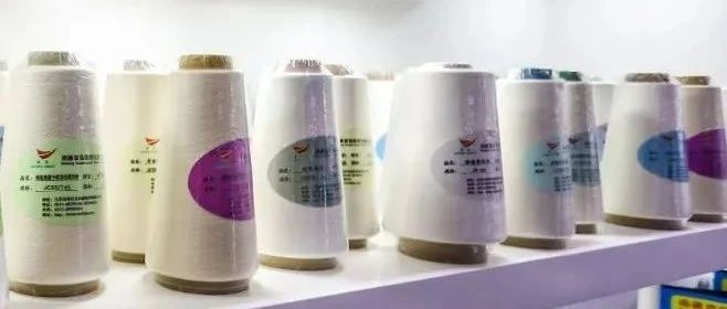 大湾区纱线展硬核展商 | 南通双弘纺织有限公司
