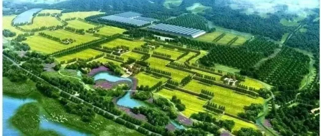焦点话题｜农业农村部：做好2024年中央预算内投资农业建设项目储备（附11类项目指南）