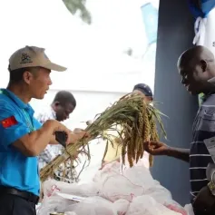 中国优质农业技术和粮食品种亮相乌干达全国农业展