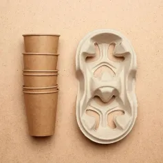 果蔬、食品用特种功能复合纸包装及其性能、应用