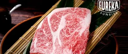 从牧场到餐桌——优瑞卡国际集团将携优质牛肉亮相第三届消博会