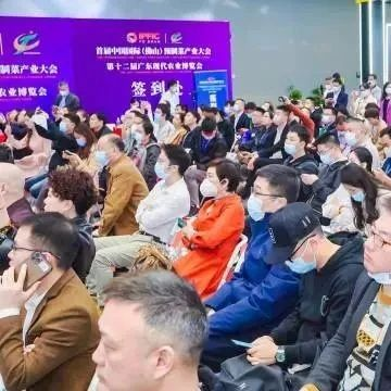 一个团队创造超百亿元产值！六大专家用硬核成果展示预制菜产业“广东实力”