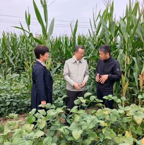 农业农村部农业机械化总站刘恒新站长一行深入运城开展调研活动