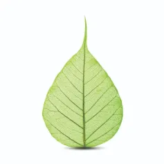 【行业动态】SABIC推出NORYL™所有牌号树脂的生物基版本，进一步推动塑料的循环经济发展