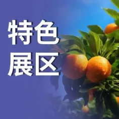 特色展区 | FHC上海市对口地区特色食品展区介绍