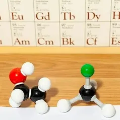 分子生物学技术在感染性疾病诊断中的应用进展
