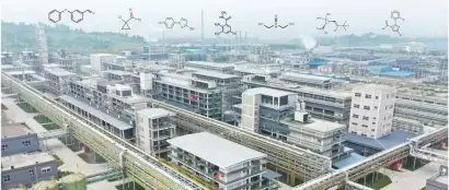 农药中间体|农药产业链的刚需产品、CAC2024的必看展品