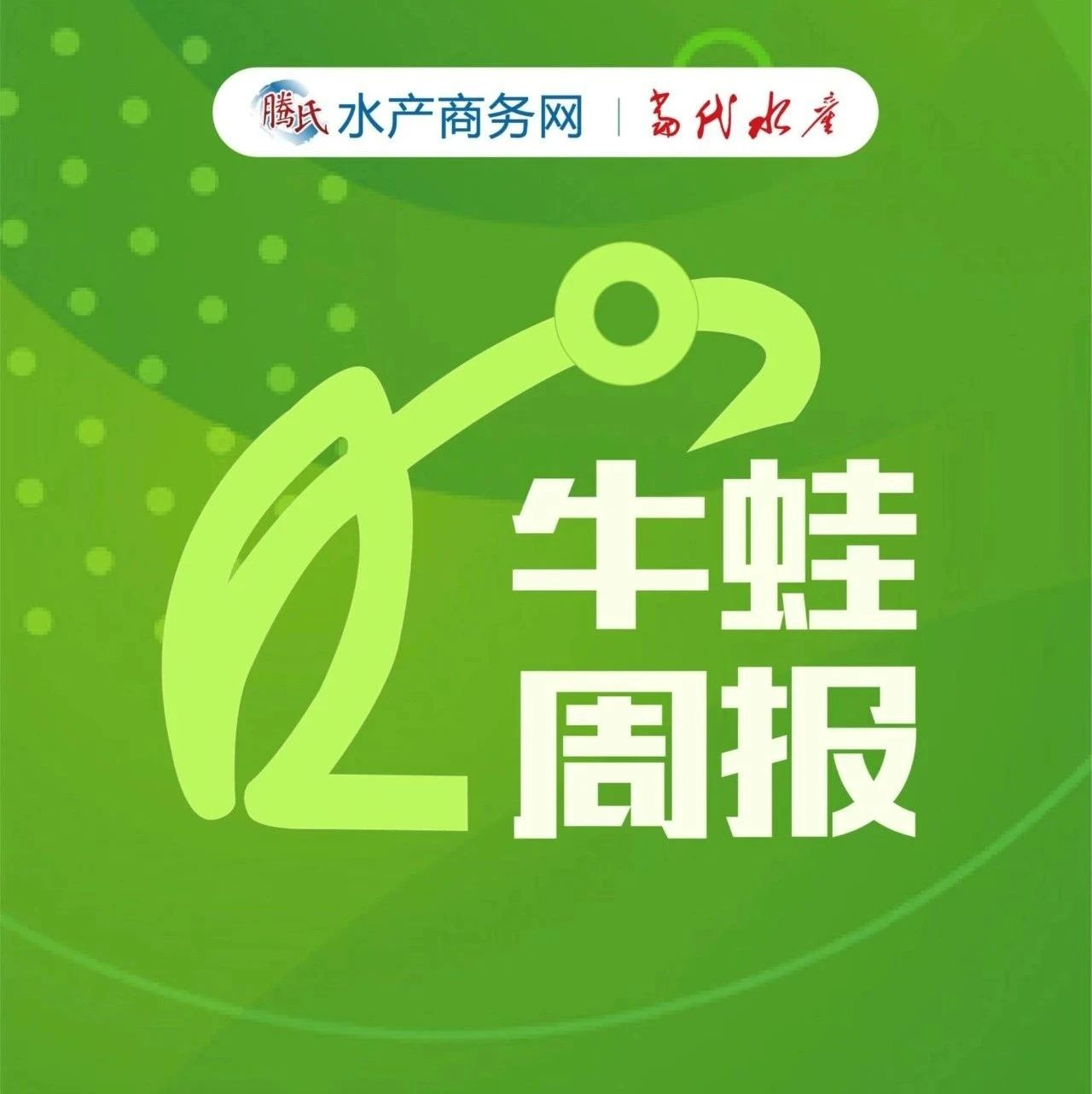 小蛙价格下跌！未来大中小蛙价格差距会持续加大？市场行情低迷......