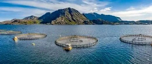 中国发展深远海养殖的机遇和挑战