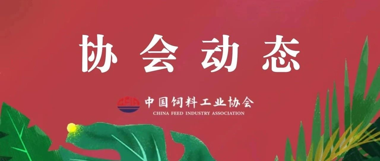 全球舞台 中国发声——CFIA首次参加GAPFA大会