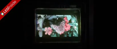 赛富乐斯发布用于AR/VR的革命性全彩NPQD微显示屏