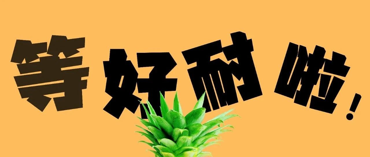 2023全球食品配料最后一站@深圳_开始注册