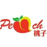 展品推荐 | 专注制造加工自动化生产线，桃子自动化设备广泛应用于3C、汽车、新能源、半导体等多领域