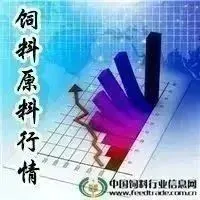 2023年12月4日国内饲料原料行情汇总【蔚蓝生物·特约行情日报】