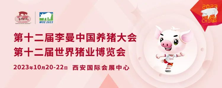 头图.jpg