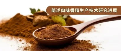 简述肉味香精生产技术研究进展