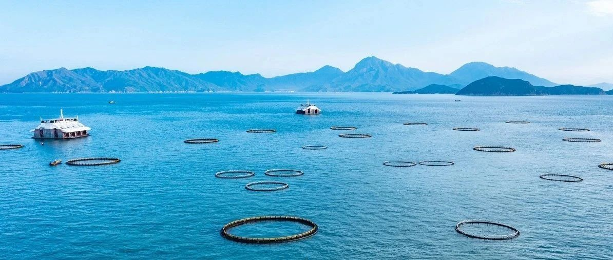 广东沿海14城发展“深蓝”农业 蓝色经济版图加速“扩容”