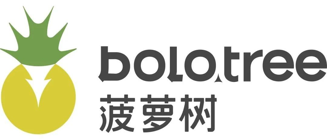 【一键加盟】菠萝树，带有教育功能的玩具体验场所，儿童行业创业的新蓝海项目