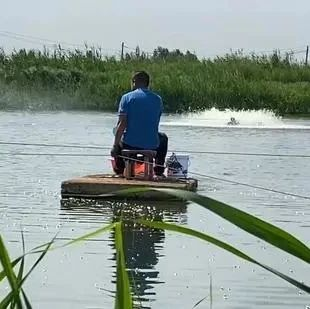 敲开“致富门”! 闯出了鲜虾养殖的“大市场”