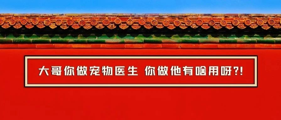 大哥你做宠物医生，你做他有啥用呀