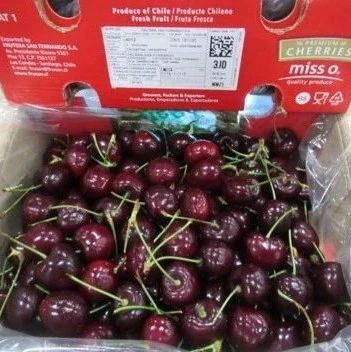 “圣诞节前夕，智利车厘子在市场上总是很受欢迎”