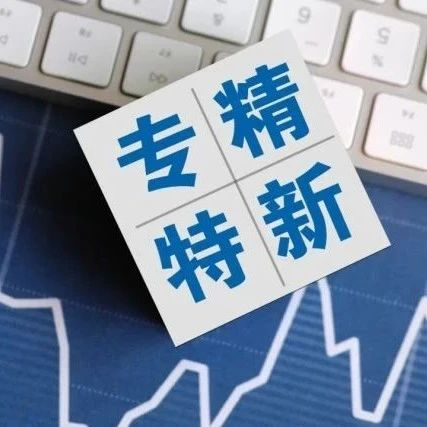 我国专精特新“小巨人”企业数量已达1.2万家