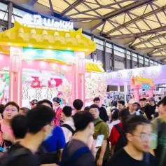 翻倍增长，国产积木凭什么打开年轻人荷包？