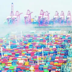 广州港纸浆期货交割仓获批