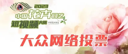 最后3天| 2023中国花卉园艺短视频大赛大众网络点赞进入冲刺阶段