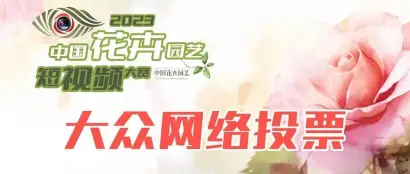 最后3天| 2023中国花卉园艺短视频大赛大众网络点赞进入冲刺阶段