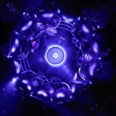 美国“富时花园”装置艺术品，探索了宇宙的节奏