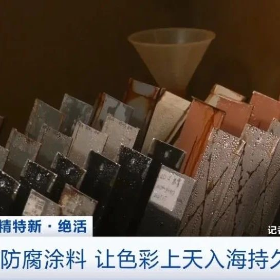 展商动态 | 双虎防腐涂料让色彩上天入海持久如新